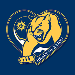 HeartofaLion_250x2501.jpg