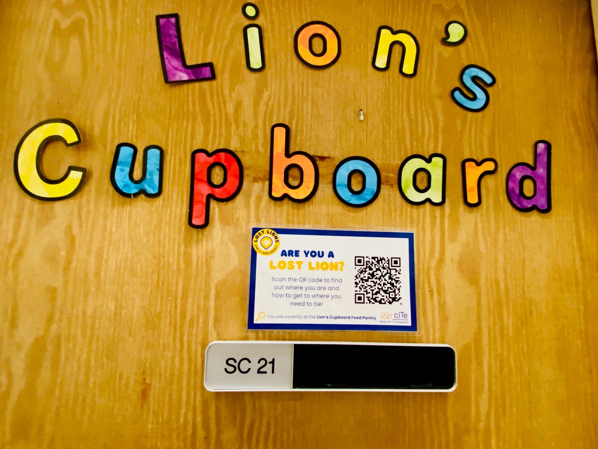 lions cupboard door